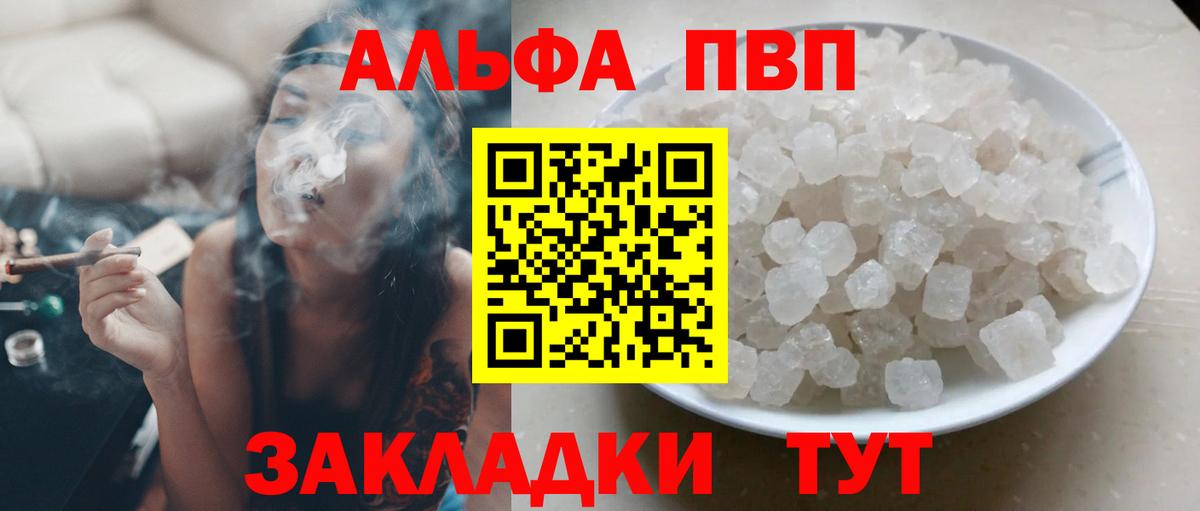 Alfa_PVP СК Камышин