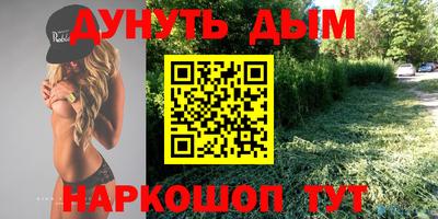 амф Гай