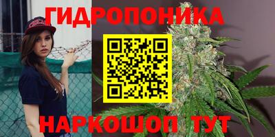 амф Гай