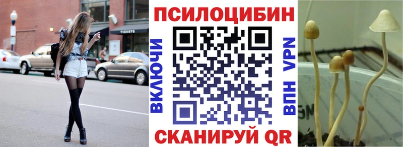 блэк спрут маркетплейс  как найти закладки  Камышин  маркетплейс Telegram  Галлюциногенные грибы Psilocybine cubensis 