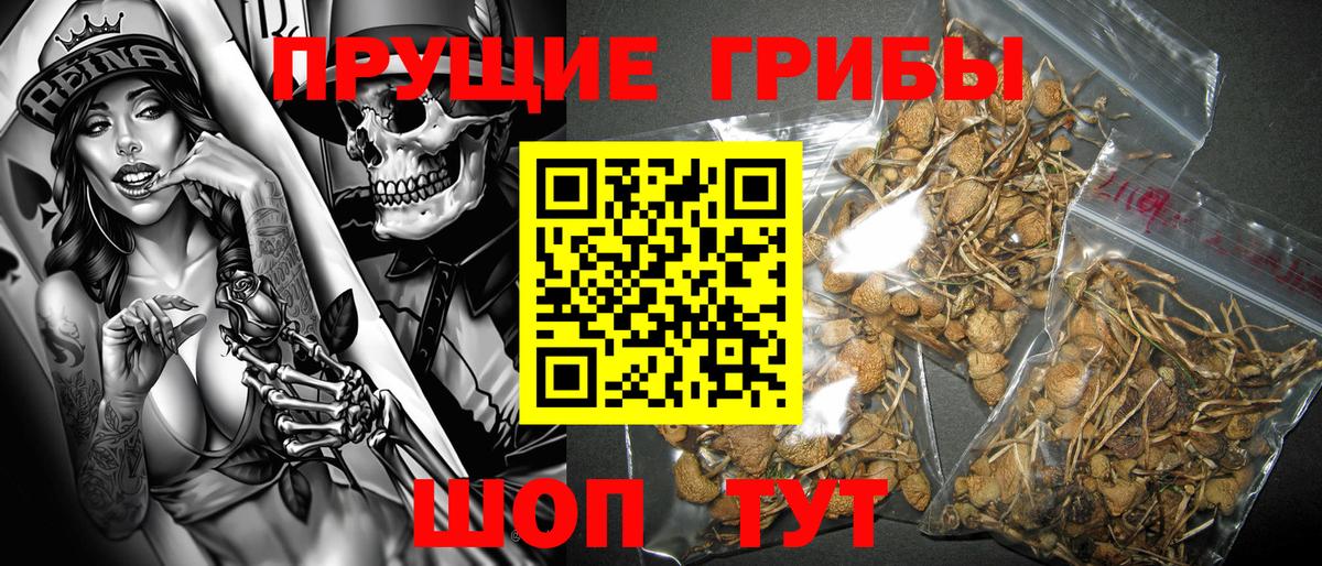 Псилоцибиновые грибы прущие грибы Камышин
