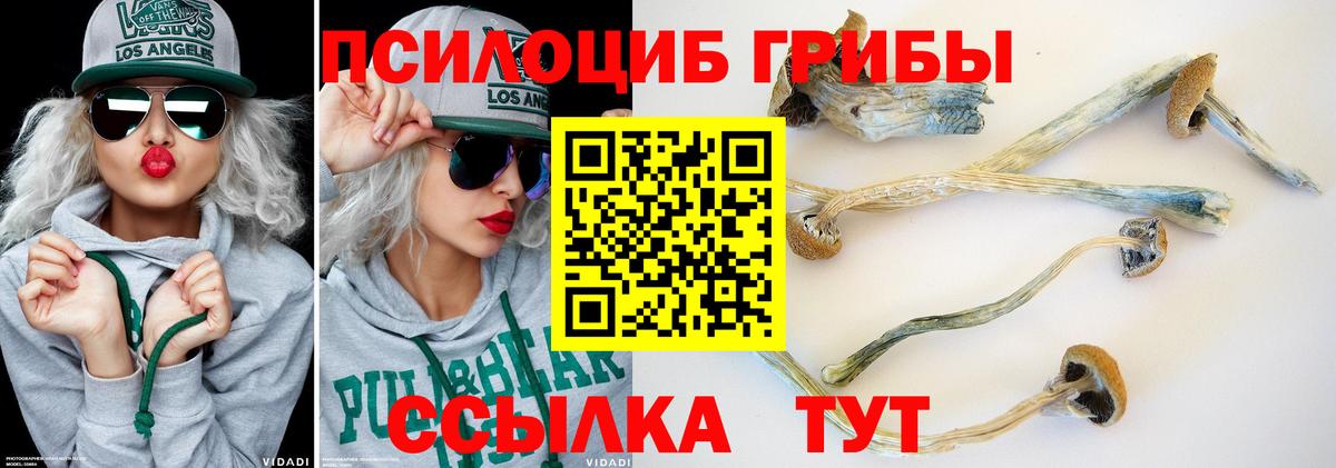 Галлюциногенные грибы GOLDEN TEACHER Камышин