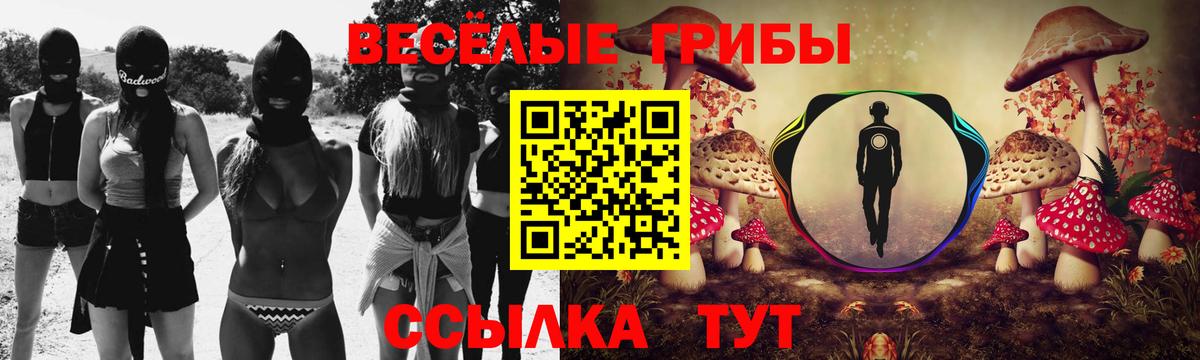 Галлюциногенные грибы ЛСД  Псилоцибиновые грибы мухоморы  Камышин  Вход с VPN 